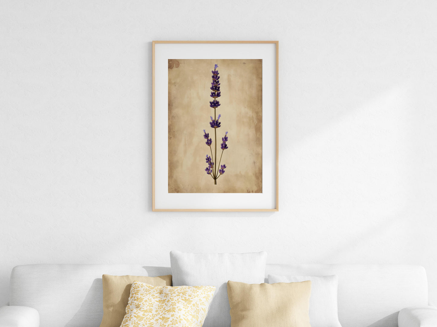 Duftende Stille: Lavendel in seiner Pracht- Pflanzen, Vintage-Illustration, Fiona Aisling, botanische Kunst, Natur