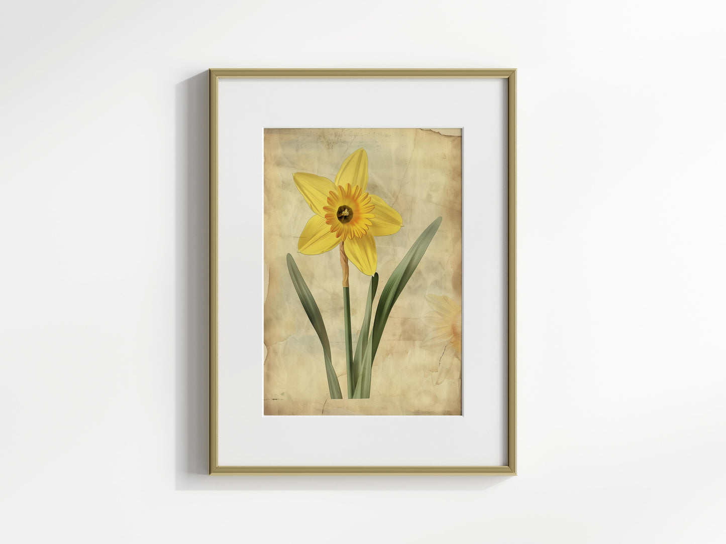 Awakening of Spring: The Daffodil- spring, antique background, vintage, plant motif, daffodil