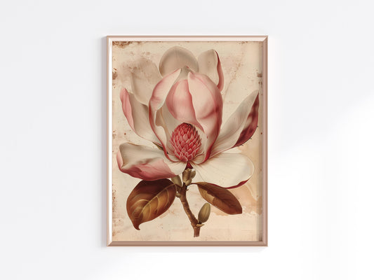 Würdevolle Schönheit: Die Magnolienblüte- Natur, Magnolie, Naturillustration, Dignität, moderne Techniken